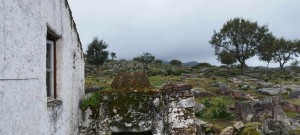 Fotografia 1 de Quinta agrícola em Marvão