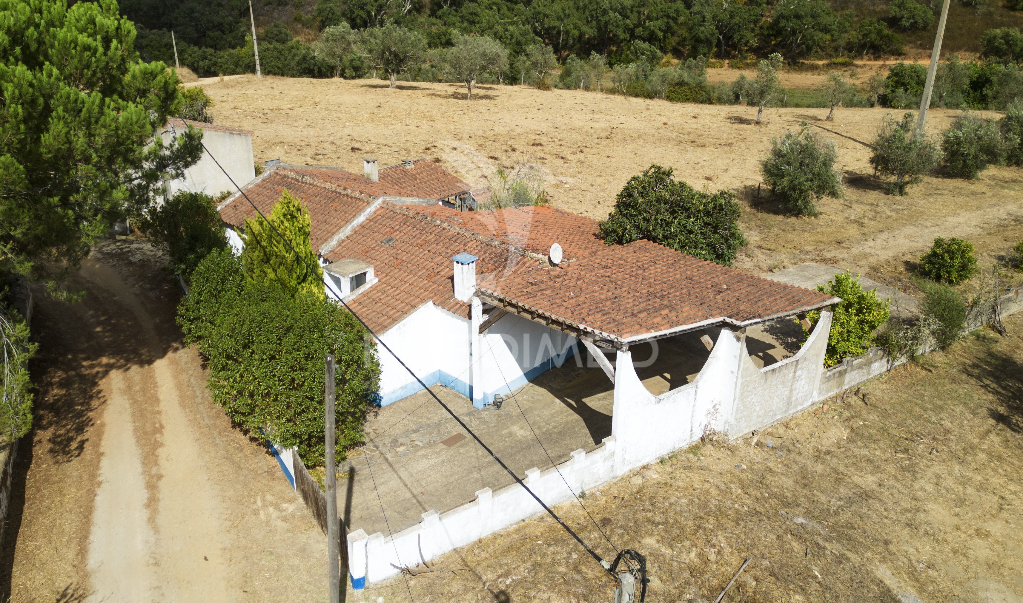 Quinta T4