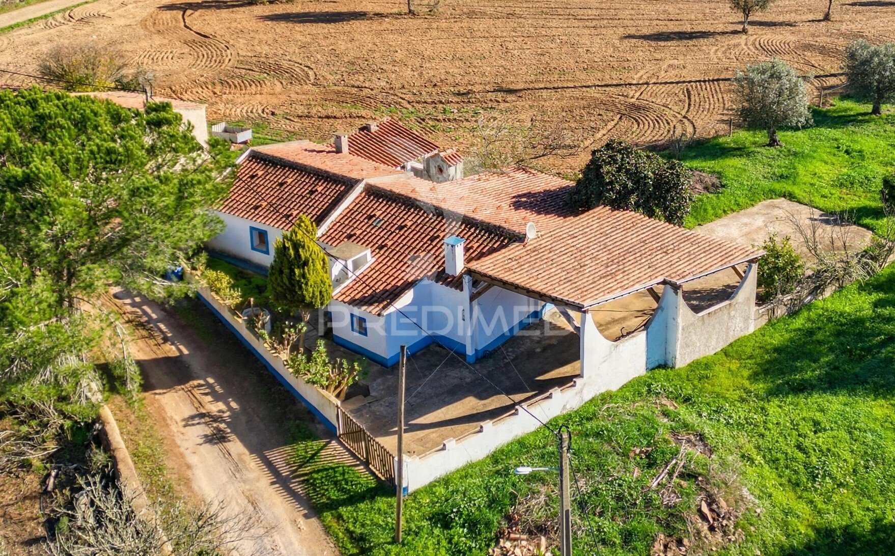 Quinta T4