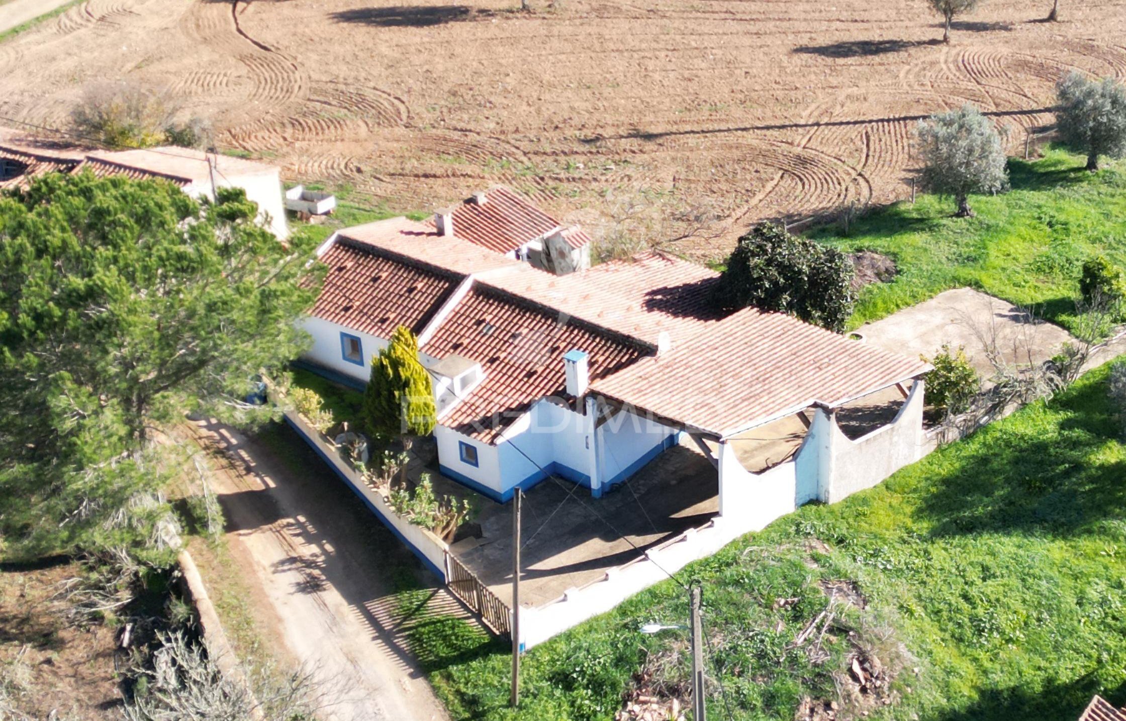 Quinta T4
