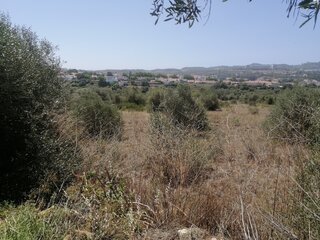 0pnsjr4aturh9twifgbo25l.jpg
