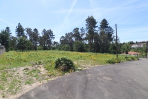 Fotografia 4 de Aqui nasce o seu lar