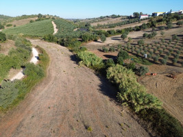 Fotografia 1 de Terreno Rústico em Nabais – Santarém | 10.880 m²