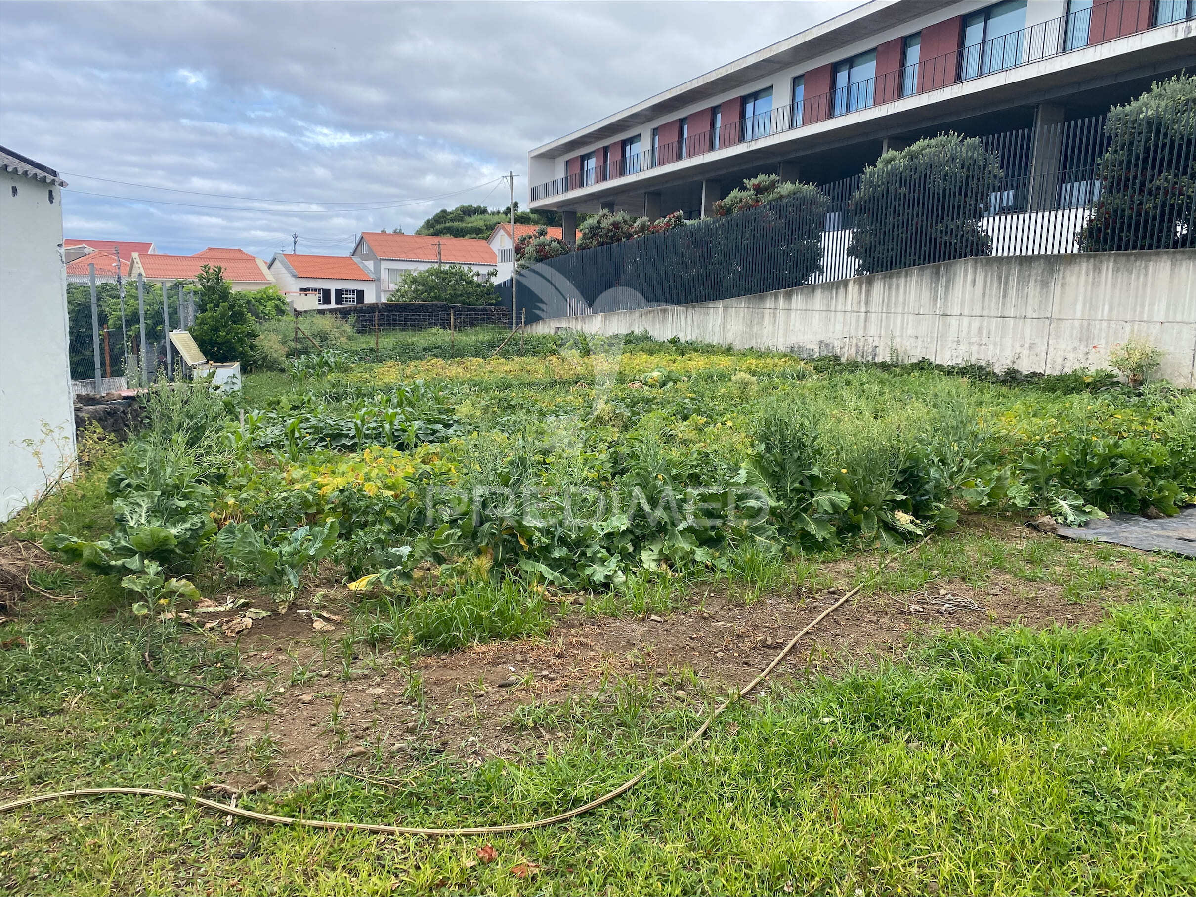 Terreno