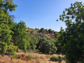 759craokfq7nfcm5mco32m.jpeg