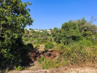 Fotografia 1 de Albufeira-Paderne Casas Pires -  Terreno Rustico plano 9200m²