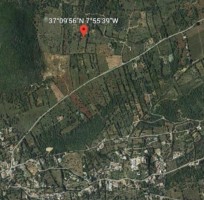 Fotografia 1 de Terreno Rustico na Campina dos Galegos/São Romão