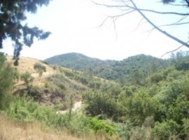 Fotografia 1 de Terreno Rustico