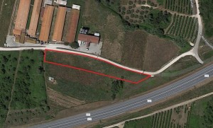 Fotografia 1 de Terreno Rustico - Ribeira de Baixo, Porto de Mós