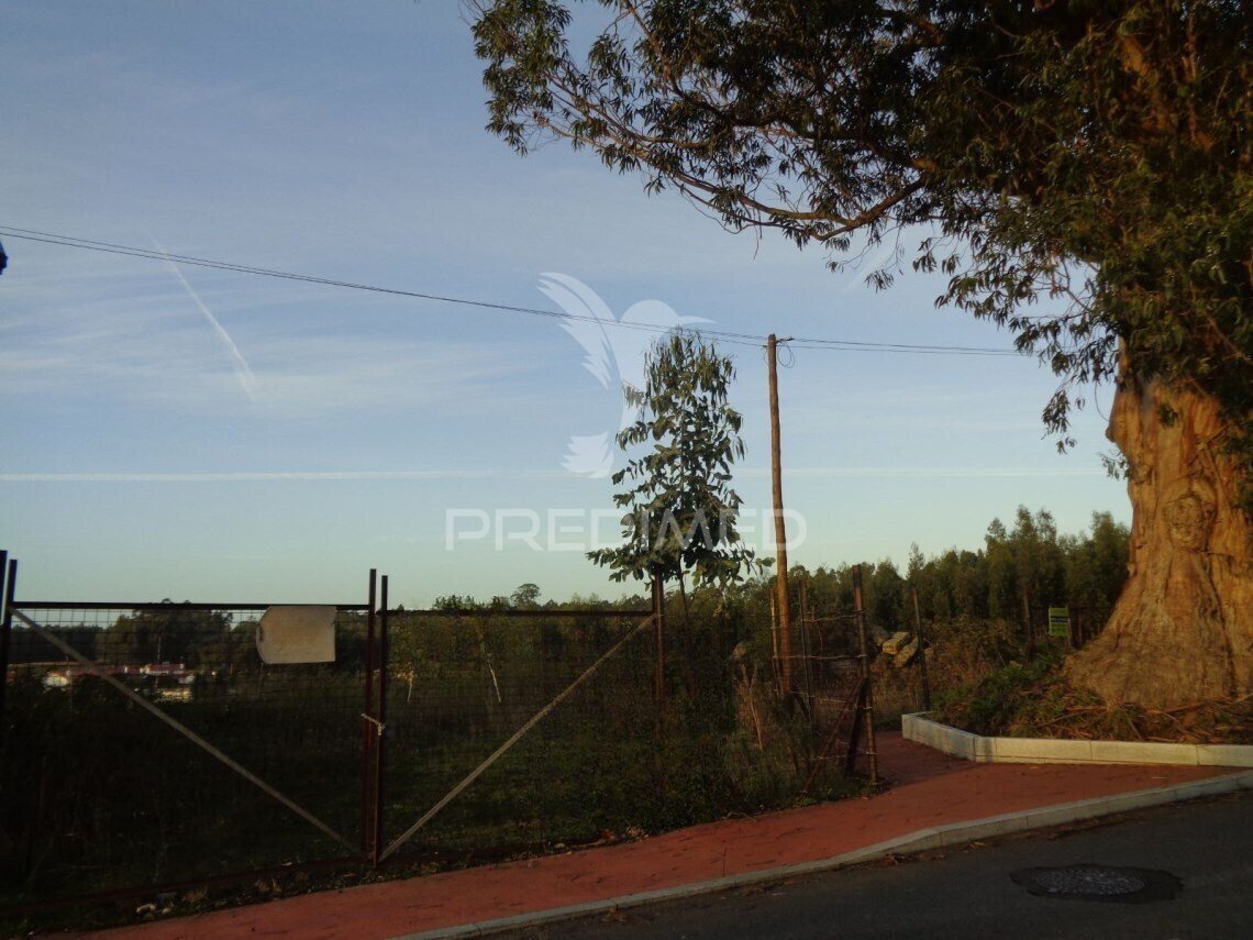 Terreno Urbano