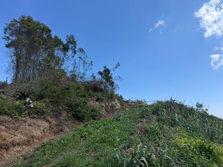 Fotografia 1 de Terreno Urbanizável em São João Ribeira Brava
