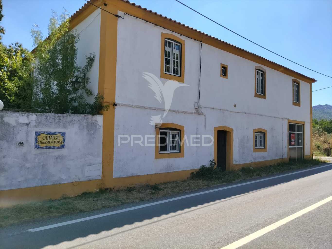 Quinta