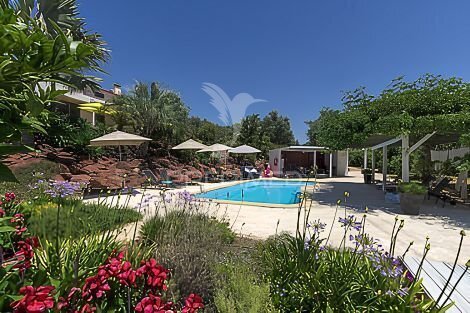 Casa na Montanha T8