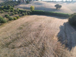 Fotografia 1 de Terreno Rústico em Nabais – Santarém | 10.800 m²