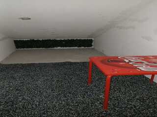 wjkpy4o1jpht883kz32gh.jpg