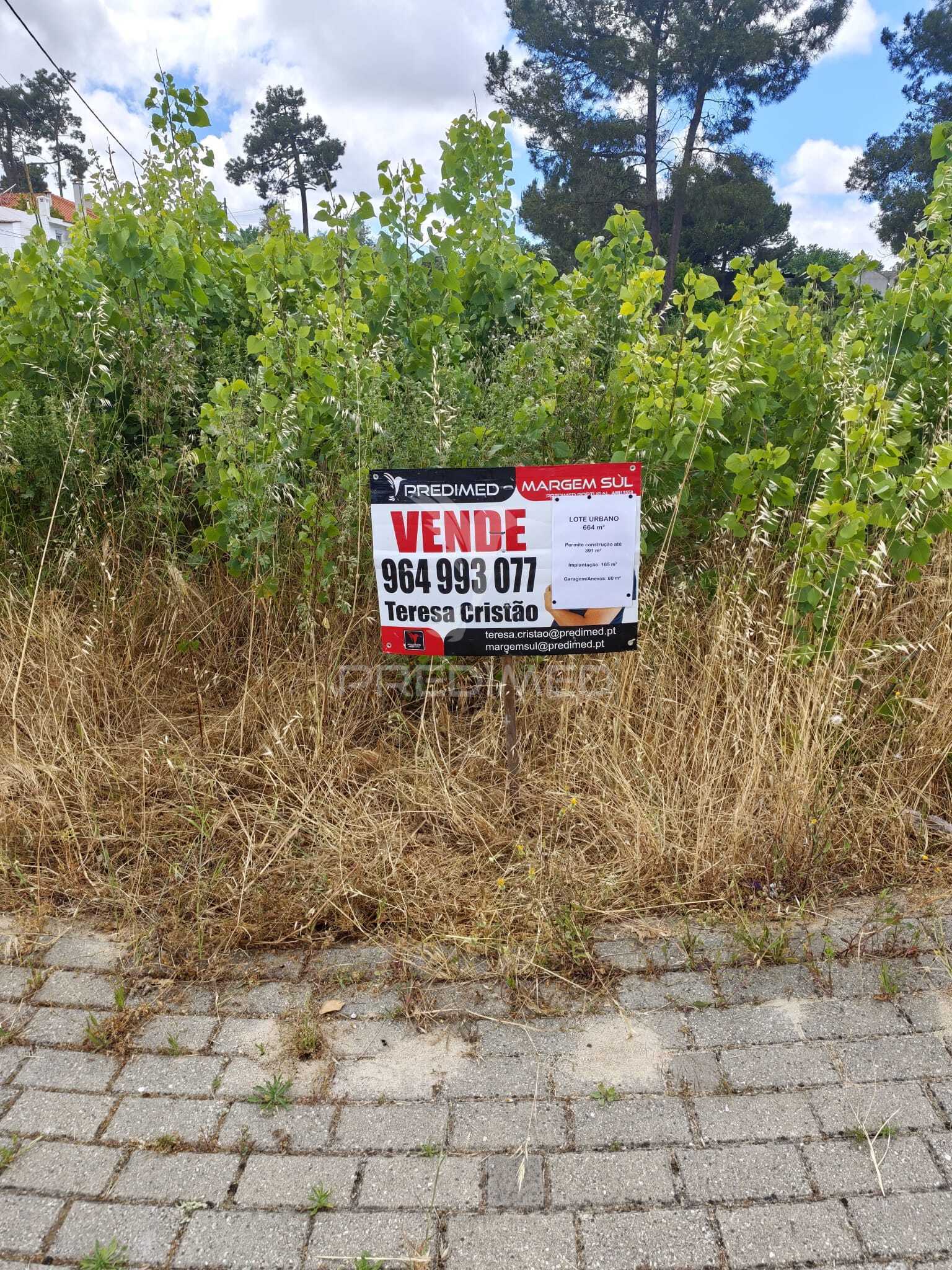 Terreno Urbano