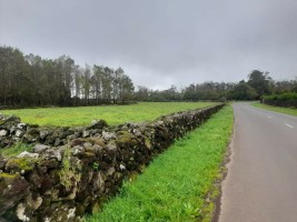 Fotografia 1 de Terreno - São Bartolomeu