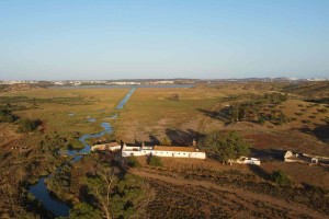 Fotografia 1 de Terreno misto junto ao Guadiana, 125ha, com ruína de 1005m2