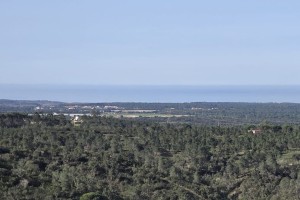 Fotografia 1 de Terreno de  12,65 Hectares - Zona de Vale Figueira/Melides - Grândola