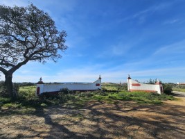 Fotografia 1 de Terreno Rústico com 7,5 hectares