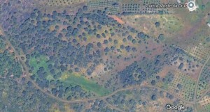Fotografia 1 de Terreno Rústico de 1,5 Hectares à Venda, Alandroal