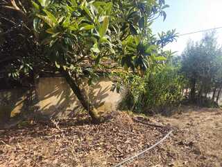 jciq8xigtmvpok976lby.jpg