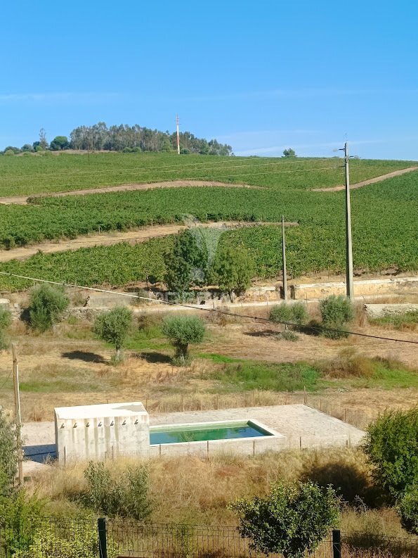 Quinta T3