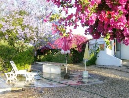 Fotografia 1 de Tavira - terreno com moradia / land with house