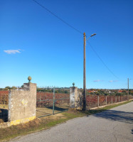 Fotografia 1 de QUINTA AGRICOLA