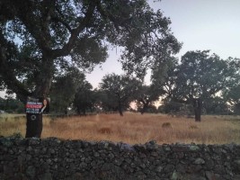 Fotografia 1 de Terreno Agrícola