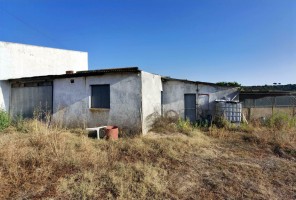 Fotografia 1 de Terreno Rústico de 1000m² à Venda – O Almeirim, Arneiro das Milhariças
