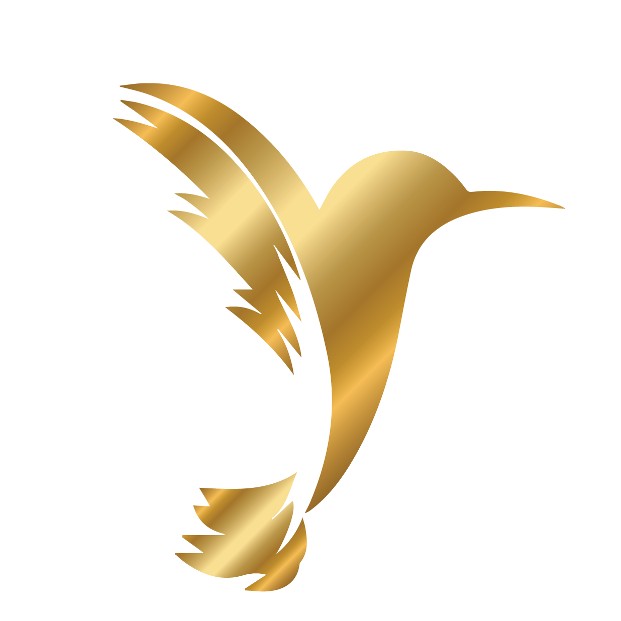 PREDIMED VASCO DA GAMA