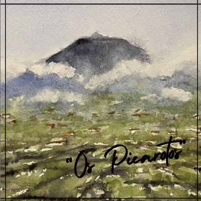 " Os Picarotos"