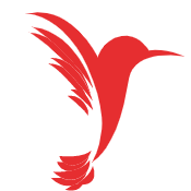 Andreia Violante (Coordenador)