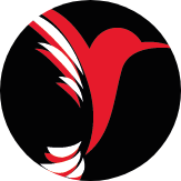 Patricia Gama (eliminado)